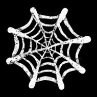 spider web N15