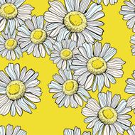 Beautiful chamomile pattern