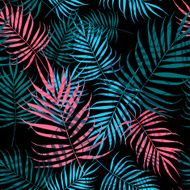 Palm tree foliage