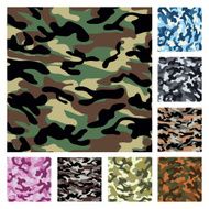 Vector camouflage pattern texture N2