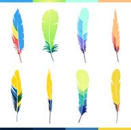 Vector colored feathers set N8