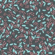 wreath of holly Christmas seamless N3