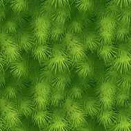Christmas tree fir branch seamless background Vector illustration N4