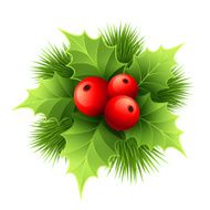 Vector Christmas holly with berries illustration N2