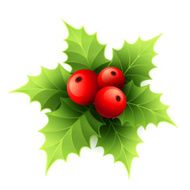 Vector Christmas holly with berries illustration N3