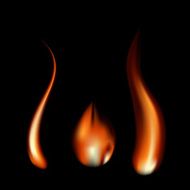 Burning Flame of Fire Vector Illustration N4