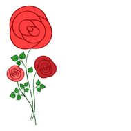red roses on a white background vector illustration