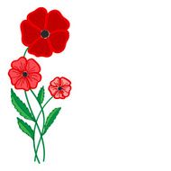 red poppies on a white background N2