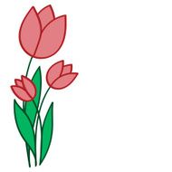 red tulips on a white background N2