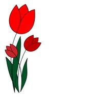 red tulips on a white background vector illustration for greetin