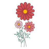 red daisy vector illustration