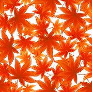 Seamless background autumn leaves Vector illustration N3