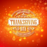 Vector typography design Thanksgiving Blurred and boke autumn background N4