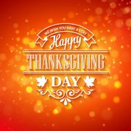 Vector typography design Thanksgiving Blurred and boke autumn background N6