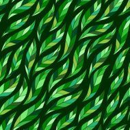 green abstract colorful leaves N2