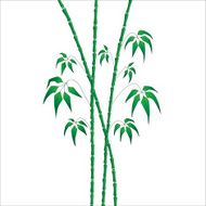 Bamboo On White N2