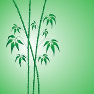 bamboo on green