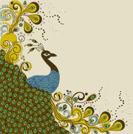 Peacock card N3