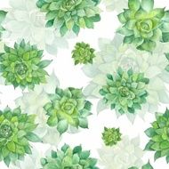 Watercolor Succulent Pattern on White Background