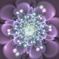 fractal flower N25