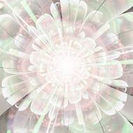 fractal flower N26