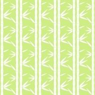 Bamboo Pattern Tropical seamless nature Vector