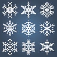 Snowflakes Vector illustration