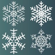 Snowflakes Vector illustration N2