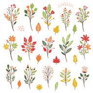 Colorful floral collection with leaves and flowers autumn