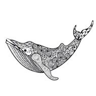 Zentangle stylized Sea Whale Hand Drawn vector illustration iso N2