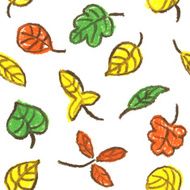 Collection beautiful colorful autumn leaves on white background