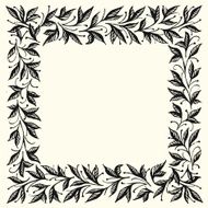 vector floral frame N18