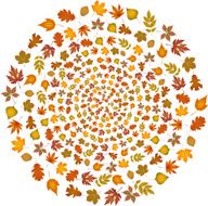 Set of autumn leaves flying in circle