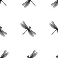 Dragonfly vector pattern N2