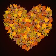 Heart shaped autumn leaves background N2