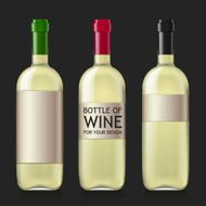 Sample of empty bottles for wine