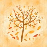 Autumn tree with falling yellow and red leaves