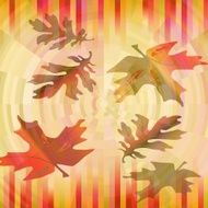 Blurry colorful leaves on striped background in vibrant autumn colors