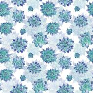 Blue Watercolor Succulent Pattern