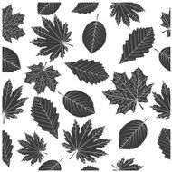 Leaves N31