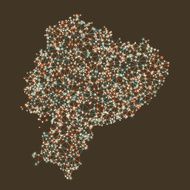 Ecuador Map Network Mesh