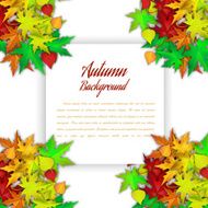 Autumn Frame N8