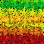 Autumn Background N39