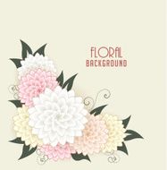 Vector floral background N48