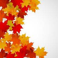Abstract background with autumn colorful leaves