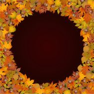 Circle frame made of autumn leaves