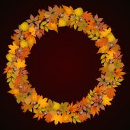Autumn leaves in the shape of a circle frame