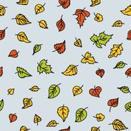 autumn leaf background N34