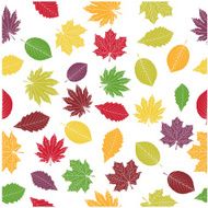 Leaves N34