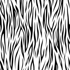 Vector Zebra background N3